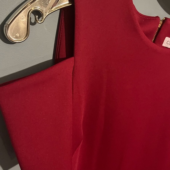 SELLING CALVIN KLEIN DRESS SIZE 10 COLOR RED PLUM BNWT - Picture 12 of 16